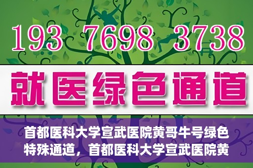 首都医科大学宣武医院黄哥牛号绿色特殊通道，首都医科大学宣武医院黄哥牛号，绿色特殊通道开启健康之门