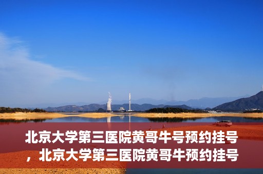北京大学第三医院黄哥牛号预约挂号，北京大学第三医院黄哥牛预约挂号攻略，轻松预约专家号