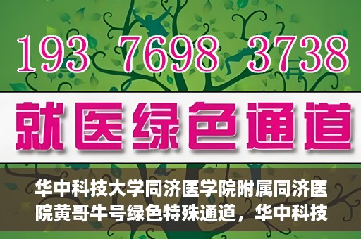 华中科技大学同济医学院附属同济医院黄哥牛号绿色特殊通道，华中科技大学同济医院黄哥牛号绿色特殊通道揭秘