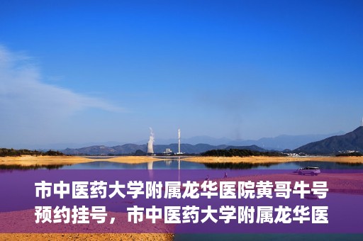 市中医药大学附属龙华医院黄哥牛号预约挂号，市中医药大学附属龙华医院黄哥牛号预约挂号攻略揭秘