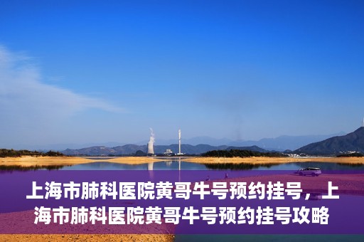 上海市肺科医院黄哥牛号预约挂号，上海市肺科医院黄哥牛号预约挂号攻略，轻松掌握挂号秘籍