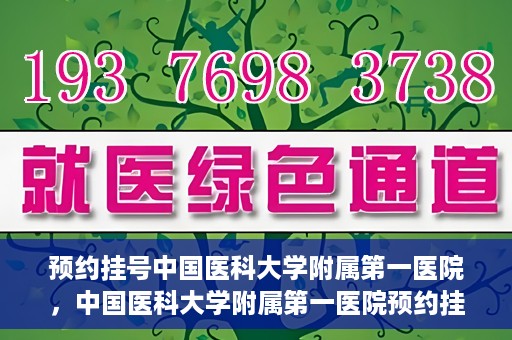 预约挂号中国医科大学附属第一医院，中国医科大学附属第一医院预约挂号系统启动，一站式服务助您轻松就医