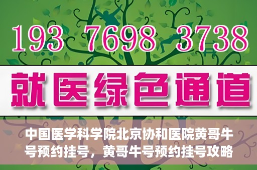 中国医学科学院北京协和医院黄哥牛号预约挂号，黄哥牛号预约挂号攻略，中国医学科学院北京协和医院就医指南
