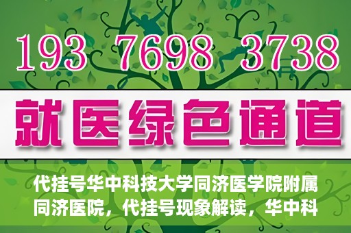代挂号华中科技大学同济医学院附属同济医院，代挂号现象解读，华中科技大学同济医学院附属同济医院的医疗管理与挑战