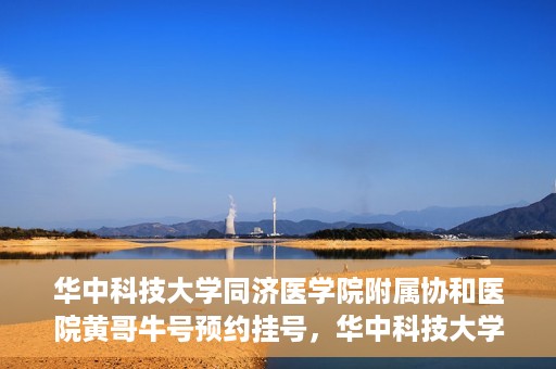 华中科技大学同济医学院附属协和医院黄哥牛号预约挂号，华中科技大学同济医学院附属协和医院黄哥牛号预约挂号攻略解析