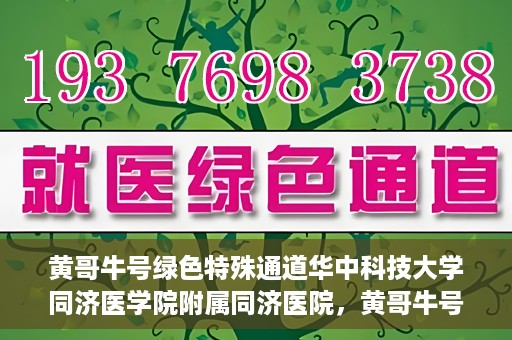 黄哥牛号绿色特殊通道华中科技大学同济医学院附属同济医院，黄哥牛号绿色特殊通道，华中科技大学同济医学院附属同济医院的探索与实践
