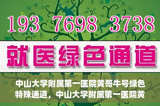 中山大学附属第一医院黄哥牛号绿色特殊通道，中山大学附属第一医院黄哥牛号，绿色特殊通道开启健康之门