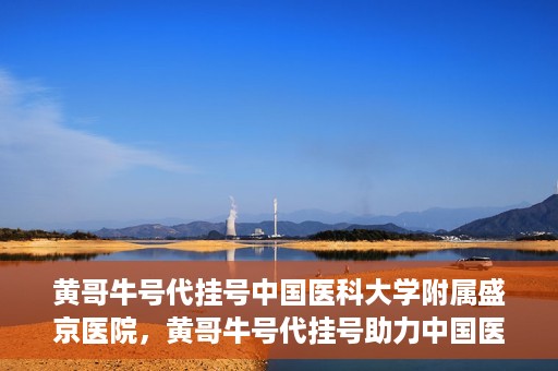 黄哥牛号代挂号中国医科大学附属盛京医院，黄哥牛号代挂号助力中国医科大学附属盛京医院就医便捷化