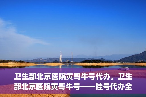 卫生部北京医院黄哥牛号代办，卫生部北京医院黄哥牛号——挂号代办全攻略