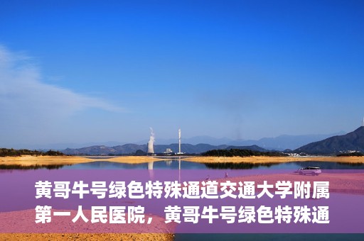 黄哥牛号绿色特殊通道交通大学附属第一人民医院，黄哥牛号绿色特殊通道，交通大学附属第一人民医院的崭新篇章