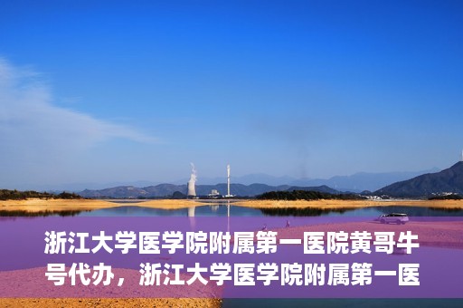 浙江大学医学院附属第一医院黄哥牛号代办，浙江大学医学院附属第一医院黄哥牛号业务代办全攻略