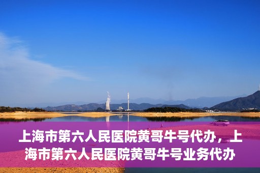 上海市第六人民医院黄哥牛号代办，上海市第六人民医院黄哥牛号业务代办攻略