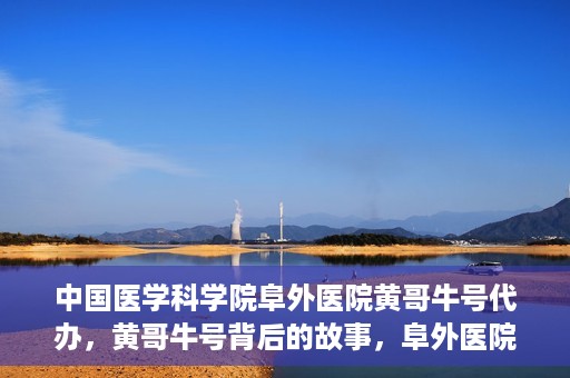 中国医学科学院阜外医院黄哥牛号代办，黄哥牛号背后的故事，阜外医院名医揭秘与医疗服务的深度解读