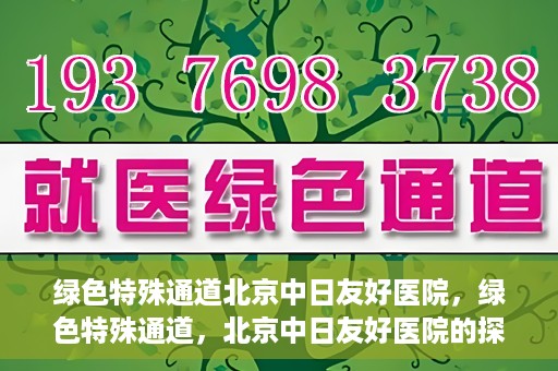 绿色特殊通道北京中日友好医院，绿色特殊通道，北京中日友好医院的探索与实践