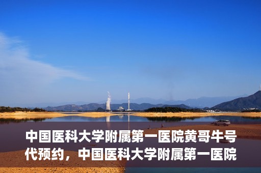 中国医科大学附属第一医院黄哥牛号代预约，中国医科大学附属第一医院黄哥牛号预约服务详解