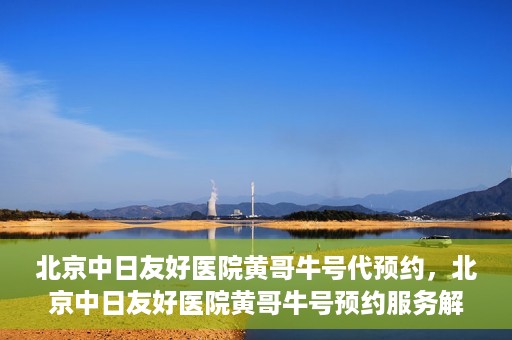 北京中日友好医院黄哥牛号代预约，北京中日友好医院黄哥牛号预约服务解析