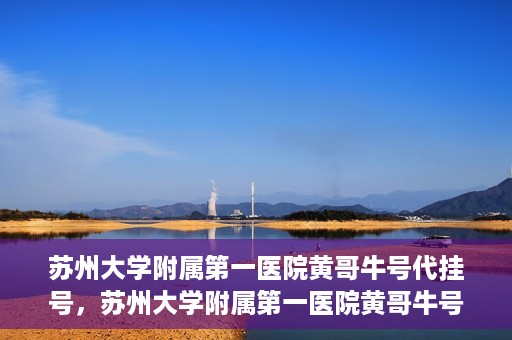 苏州大学附属第一医院黄哥牛号代挂号，苏州大学附属第一医院黄哥牛号代挂号服务解析
