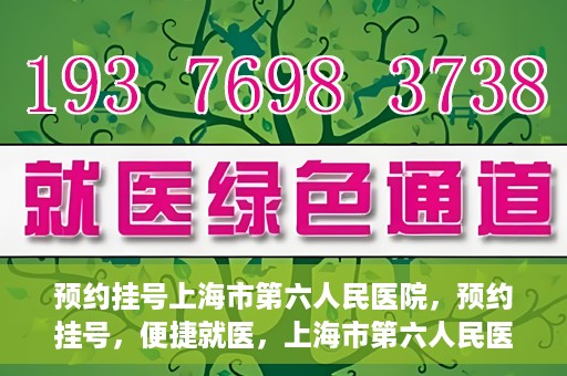 预约挂号上海市第六人民医院，预约挂号，便捷就医，上海市第六人民医院挂号指南