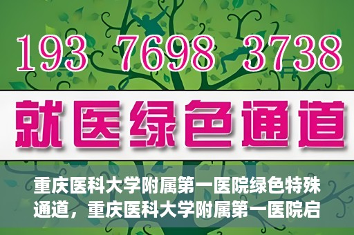 重庆医科大学附属第一医院绿色特殊通道，重庆医科大学附属第一医院启动绿色特殊通道，高效医疗服务的探索与实践