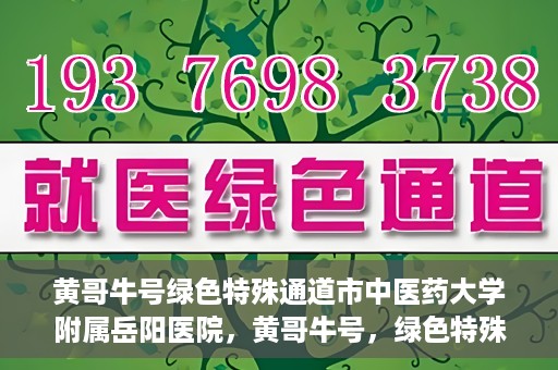 黄哥牛号绿色特殊通道市中医药大学附属岳阳医院，黄哥牛号，绿色特殊通道助力中医药大学附属岳阳医院健康前行