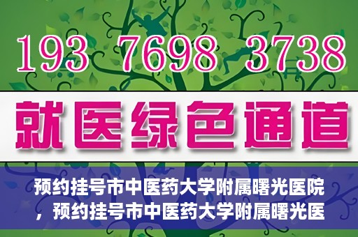 预约挂号市中医药大学附属曙光医院，预约挂号市中医药大学附属曙光医院，一站式便捷就医服务新体验