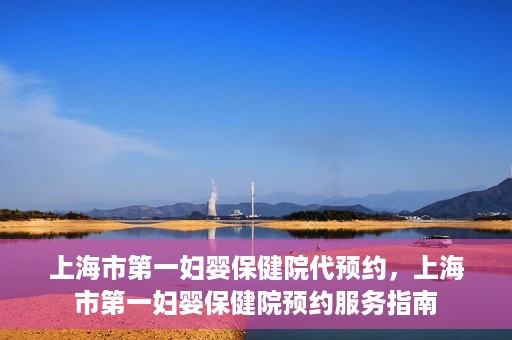 上海市第一妇婴保健院代预约，上海市第一妇婴保健院预约服务指南