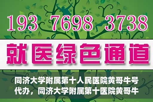 同济大学附属第十人民医院黄哥牛号代办，同济大学附属第十医院黄哥牛号预约代办服务解析