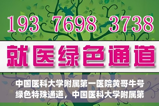 中国医科大学附属第一医院黄哥牛号绿色特殊通道，中国医科大学附属第一医院黄哥牛号，绿色特殊通道的开启与探索