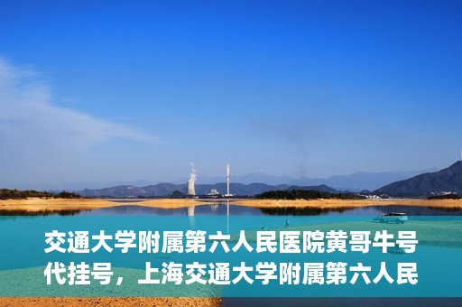 交通大学附属第六人民医院黄哥牛号代挂号，上海交通大学附属第六人民医院黄哥牛号代挂号攻略