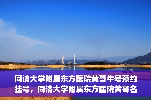 同济大学附属东方医院黄哥牛号预约挂号，同济大学附属东方医院黄哥名医牛号预约挂号攻略
