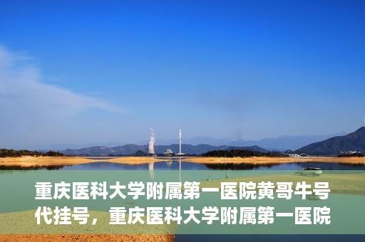重庆医科大学附属第一医院黄哥牛号代挂号，重庆医科大学附属第一医院黄哥牛号代挂号服务解析