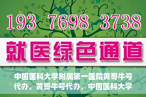 中国医科大学附属第一医院黄哥牛号代办，黄哥牛号代办，中国医科大学附属第一医院挂号服务新动向