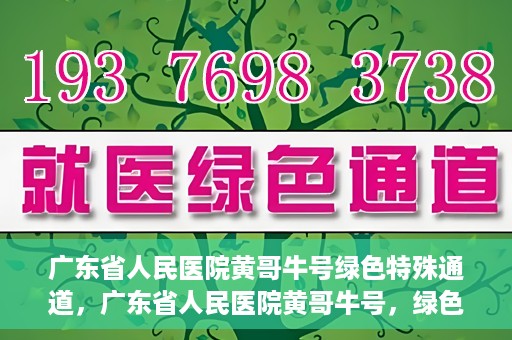 广东省人民医院黄哥牛号绿色特殊通道，广东省人民医院黄哥牛号，绿色特殊通道开启健康之门