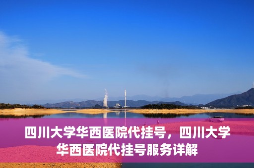 四川大学华西医院代挂号，四川大学华西医院代挂号服务详解