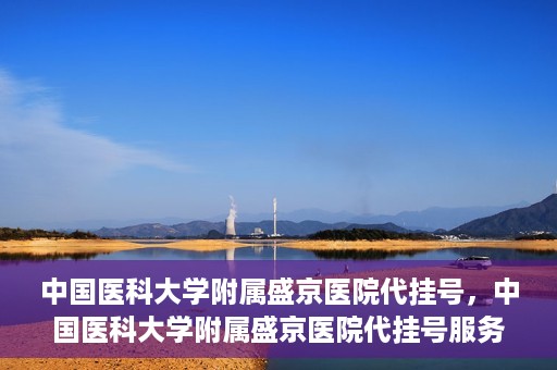 中国医科大学附属盛京医院代挂号，中国医科大学附属盛京医院代挂号服务详解