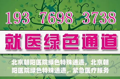 北京朝阳医院绿色特殊通道，北京朝阳医院绿色特殊通道，紧急医疗服务的速度与温情
