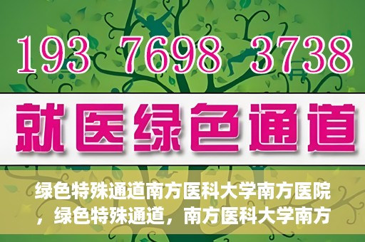 绿色特殊通道南方医科大学南方医院，绿色特殊通道，南方医科大学南方医院的探索与实践
