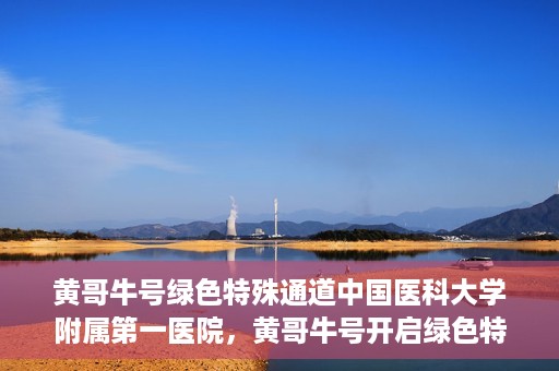黄哥牛号绿色特殊通道中国医科大学附属第一医院，黄哥牛号开启绿色特殊通道，中国医科大学附属第一医院助力健康中国行动