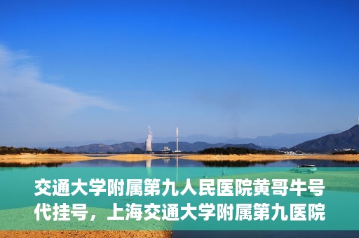 交通大学附属第九人民医院黄哥牛号代挂号，上海交通大学附属第九医院黄哥牛号代挂号攻略解析