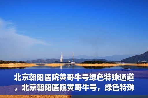 北京朝阳医院黄哥牛号绿色特殊通道，北京朝阳医院黄哥牛号，绿色特殊通道开启健康之门