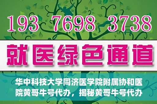 华中科技大学同济医学院附属协和医院黄哥牛号代办，揭秘黄哥牛号代办背后的故事，华中科技大学同济医学院附属协和医院就医新途径探索
