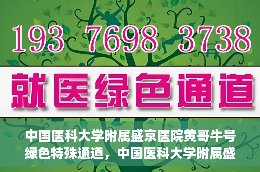 中国医科大学附属盛京医院黄哥牛号绿色特殊通道，中国医科大学附属盛京医院黄哥牛号，绿色特殊通道开启健康之门