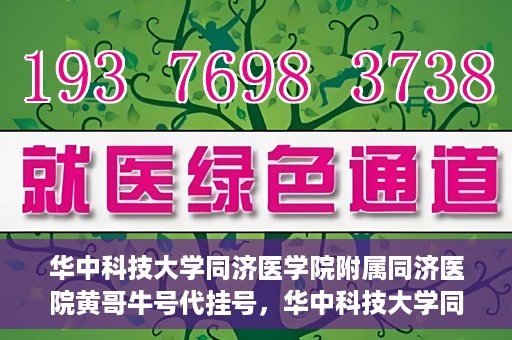 华中科技大学同济医学院附属同济医院黄哥牛号代挂号，华中科技大学同济医院黄哥牛号代挂号背后的故事