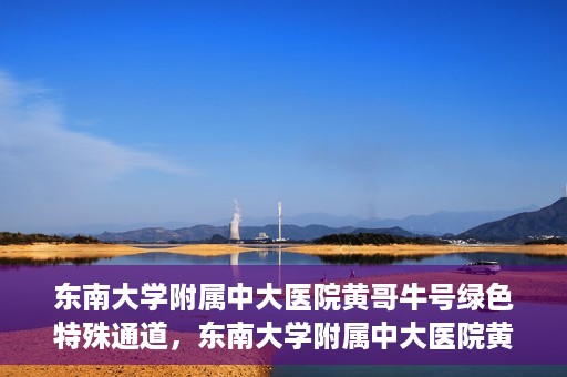 东南大学附属中大医院黄哥牛号绿色特殊通道，东南大学附属中大医院黄哥牛号，绿色特殊通道开启生命之门