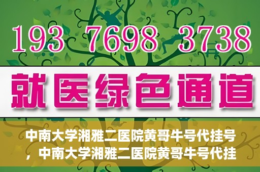 中南大学湘雅二医院黄哥牛号代挂号，中南大学湘雅二医院黄哥牛号代挂号，便捷就医背后的故事