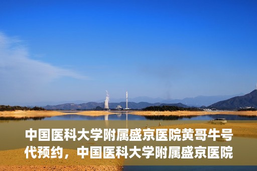中国医科大学附属盛京医院黄哥牛号代预约，中国医科大学附属盛京医院黄哥牛号预约服务解析