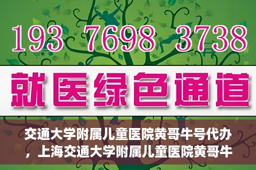 交通大学附属儿童医院黄哥牛号代办，上海交通大学附属儿童医院黄哥牛号代办揭秘，真相与警示