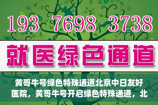 黄哥牛号绿色特殊通道北京中日友好医院，黄哥牛号开启绿色特殊通道，北京中日友好医院助力健康之路