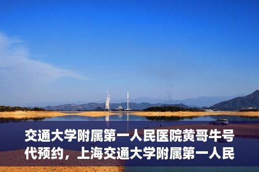 交通大学附属第一人民医院黄哥牛号代预约，上海交通大学附属第一人民医院黄哥预约挂号攻略，便捷预约，轻松就医