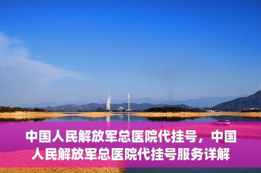 中国人民解放军总医院代挂号，中国人民解放军总医院代挂号服务详解
